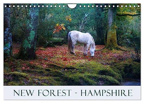 New Forest Hampshire (Wall Calendar 2025 DIN A4 landscape), CALVENDO 12 Month Wall Calendar: The New Forest in Hampshire with its heath and wild ponies is one of the most beautiful areas in England