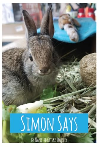 Simon Says Simon Says von American Book Publisher