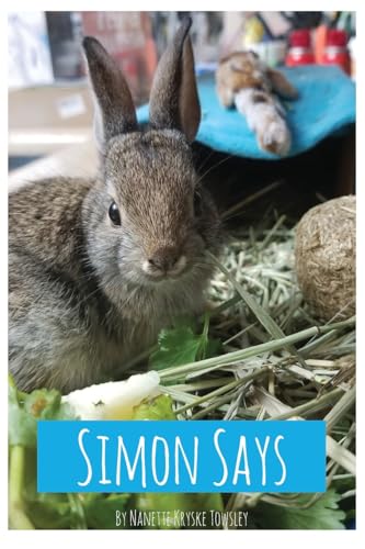 Simon Says von American Book Publisher