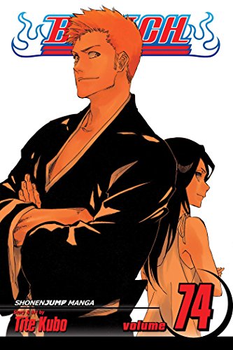 Bleach, Vol. 74: The Death and the Strawberry (BLEACH GN, Band 74) Bleach, Vol. 74: The Death and the Strawberry (BLEACH GN, Band 74)