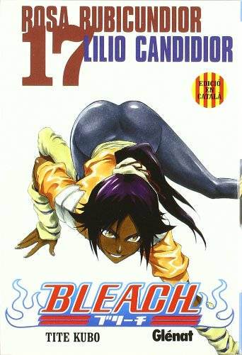 Bleach 17 (Manga en català)