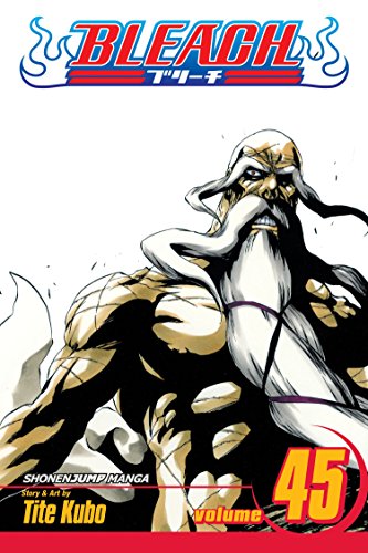 Bleach Volume 45: The Burnout Inferno (BLEACH GN, Band 45) von Simon & Schuster