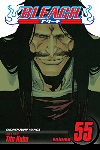 Bleach Volume 55: The Blood Warfare (BLEACH GN, Band 55)