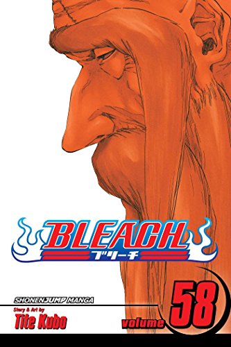 Bleach Volume 58: The Fire (BLEACH GN, Band 58) Bleach Volume 58: The Fire (BLEACH GN, Band 58)