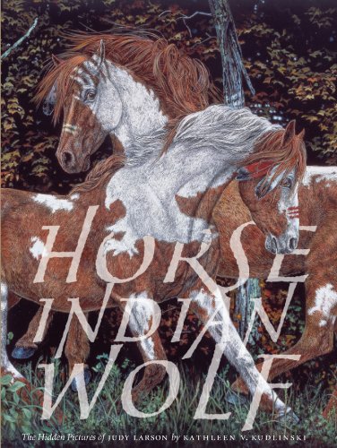 Horse Indian Wolf: The Hidden Picture of Judy Larson