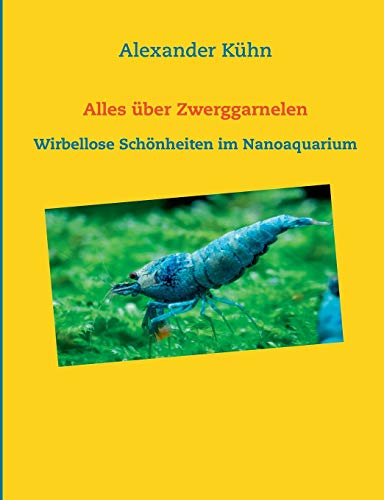 Alles über Zwerggarnelen: Wirbellose Schönheiten im Nanoaquarium Alles über Zwerggarnelen: Wirbellose Schönheiten im Nanoaquarium