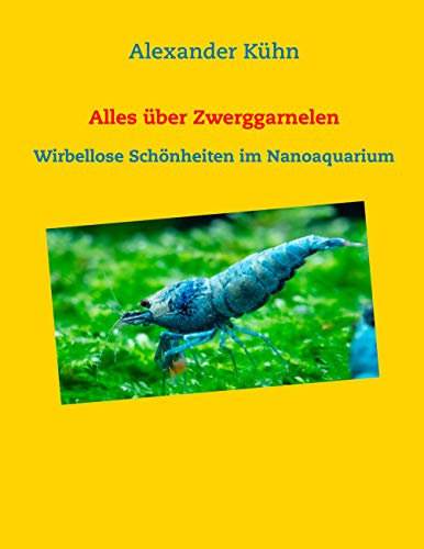 Alles über Zwerggarnelen: Wirbellose Schönheiten im Nanoaquarium