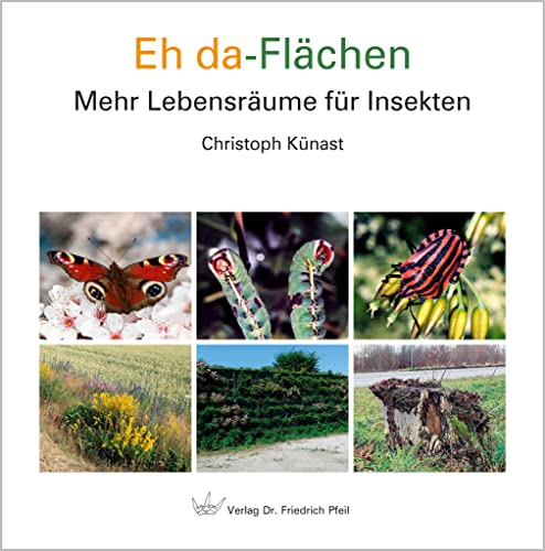 Eh da-Flächen: Mehr Lebensräume für Insekten von Pfeil, F