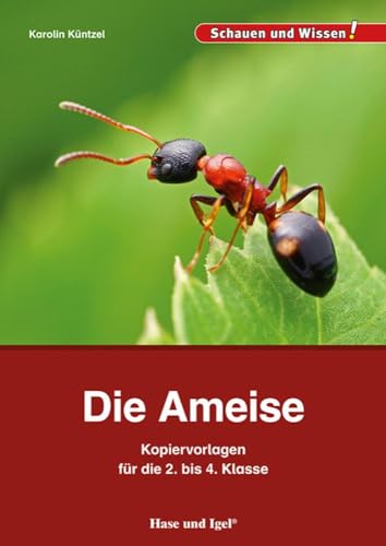 Die Ameise – Kopiervorlagen für die 2. bis 4. Klasse von Hase und Igel Verlag GmbH