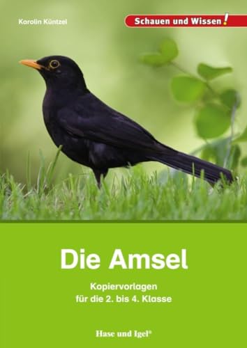 Die Amsel – Kopiervorlagen für die 2. bis 4. Klasse von Hase und Igel Verlag GmbH