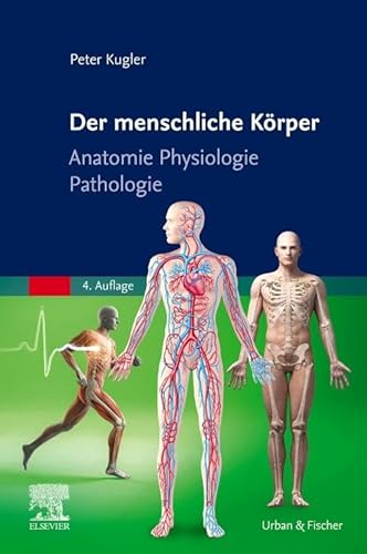 Der menschliche Körper: Anatomie Physiologie Pathologie von Urban & Fischer Verlag/Elsevier GmbH