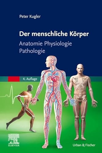 Der menschliche Körper: Anatomie Physiologie Pathologie Der menschliche Körper: Anatomie Physiologie Pathologie