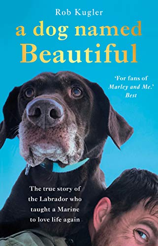 A Dog Named Beautiful: The true story of the Labrador who taught a Marine to love life again von Corgi