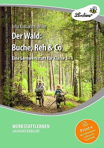 Der Wald: Buche, Reh & Co: (3. und 4. Klasse)