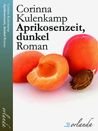 Aprikosenzeit, dunkel: Roman (welt bewegt)