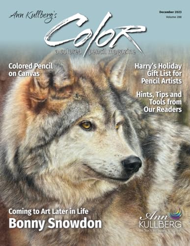 COLOR Magazine: December 2023 issue von Independently published
