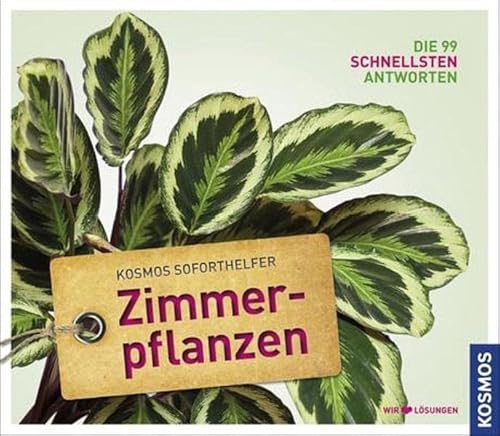 Soforthelfer Zimmerpflanzen: Die 99 schnellsten Antworten