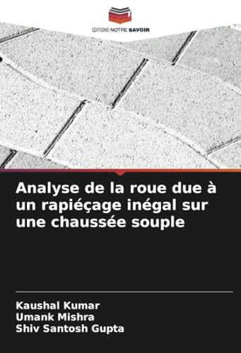 Analyse de la roue due à un rapiéçage inégal sur une chaussée souple von Editions Notre Savoir