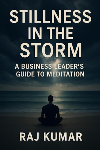 STILLNESS IN THE STORM: A Business Leader's Guide to Meditation von Independently published
