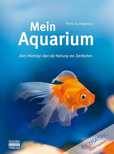 Mein Aquarium: Alles Wichtige über die Haltung von Zierfischen