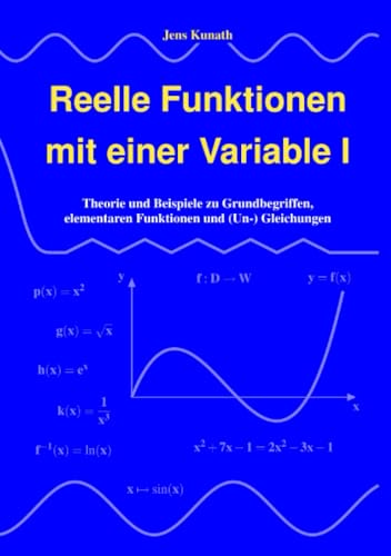 Reelle Funktionen mit einer Variable I: Theorie und Beispiele zu Grundbegriffen, elementaren Funktionen und (Un-) Gleichungen von epubli