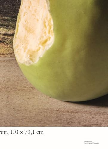 Size Matters: Größe in der Fotografie von DISTANZ Verlag GmbH