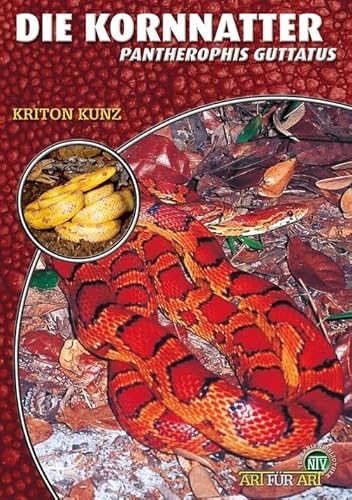 Die Kornnatter: Pantherophis guttatus (Buchreihe Art für Art Terraristik) von NTV Natur und Tier-Verlag