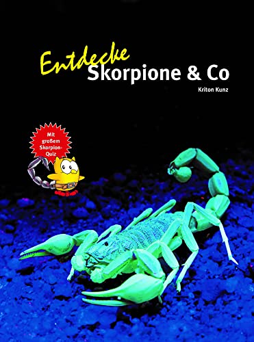 Entdecke Skorpione & Co: Mit großem Skorpion-Quiz (Entdecke - Die Reihe mit der Eule: Kindersachbuchreihe) von NTV Natur und Tier-Verlag