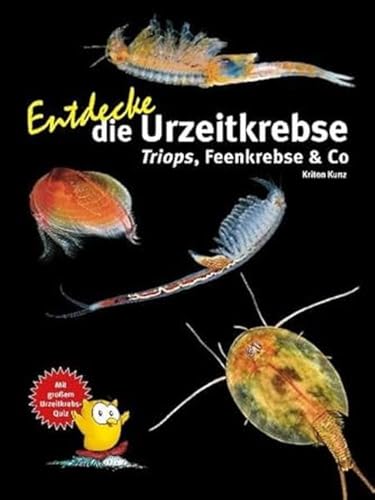 Entdecke die Urzeitkrebse: Triops, Feenkrebse & Co (Entdecke - Die Reihe mit der Eule: Kindersachbuchreihe) von Natur und Tier