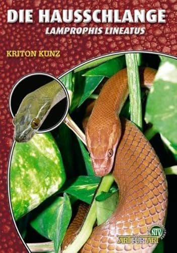 Die Hausschlange: Lamprophis lineatus (Buchreihe Art für Art Terraristik)