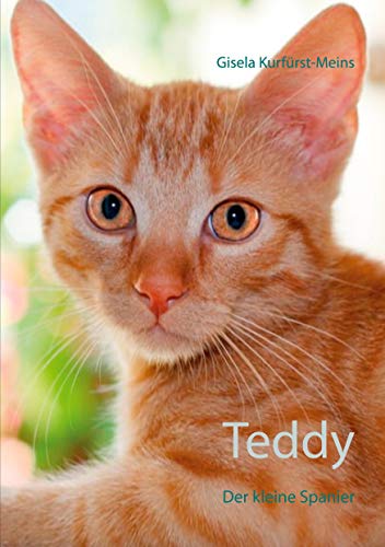Teddy: Der kleine Spanier