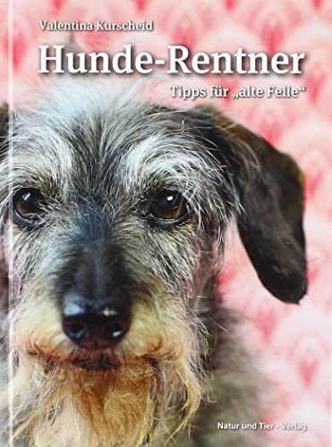 Hunde-Rentner: Tipps für "alte Felle"