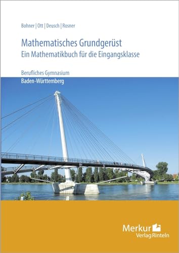 Mathematisches Grundgerüst: - Ein Mathematikbuch für die Eingangsklasse