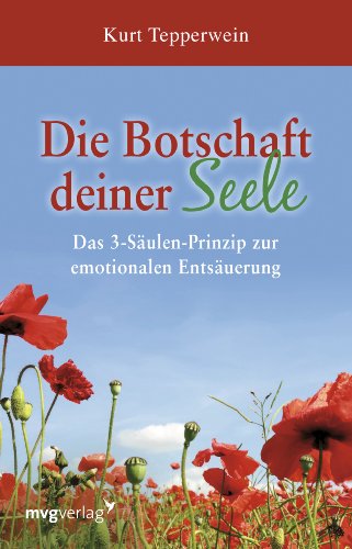 Die Botschaft deiner Seele: Das 3-Säulen-Prinzip der emotionalen Entsäuerung