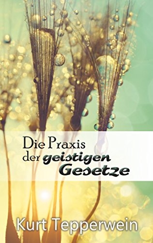 Die Praxis der geistigen Gesetze Die Praxis der geistigen Gesetze von Books on Demand