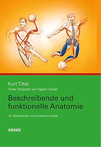 Beschreibende und funktionelle Anatomie von Kiener Verlag