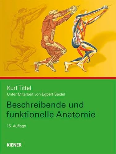 Beschreibende und funktionelle Anatomie