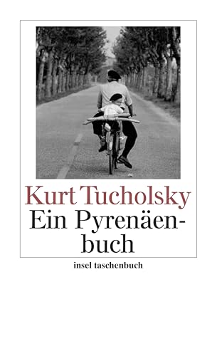 Ein Pyrenäenbuch (insel taschenbuch)