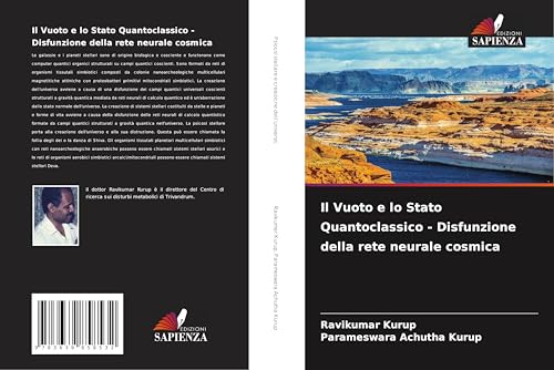 Il Vuoto e lo Stato Quantoclassico - Disfunzione della rete neurale cosmica Il Vuoto e lo Stato Quantoclassico - Disfunzione della rete neurale cosmica von VDM Verlag