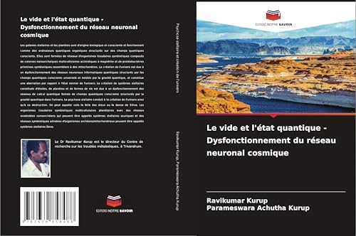 Le vide et l'état quantique - Dysfonctionnement du réseau neuronal cosmique von VDM Verlag