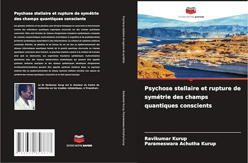 Psychose stellaire et rupture de symétrie des champs quantiques conscients Psychose stellaire et rupture de symétrie des champs quantiques conscients von VDM Verlag