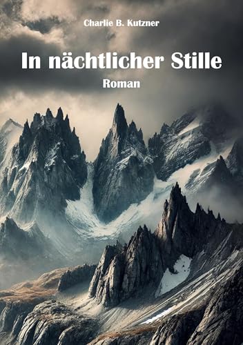 In nächtlicher Stille: Roman In nächtlicher Stille: Roman von Rediroma-Verlag