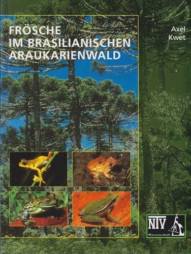 Frösche im brasilianischen Araukarienwald.