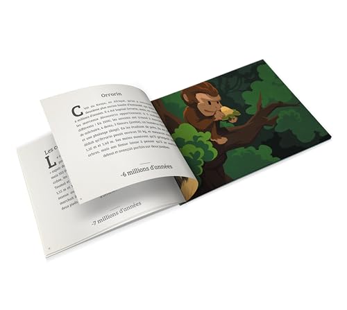 La Préhistoire (Classique +): Les premiers pas de l'homme von QUELLE HISTOIRE