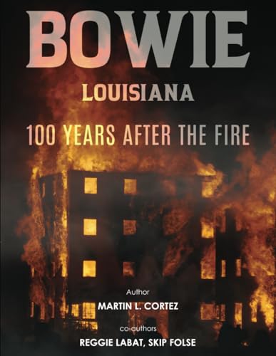Bowie 100 Years after the Fire von Self Publishing