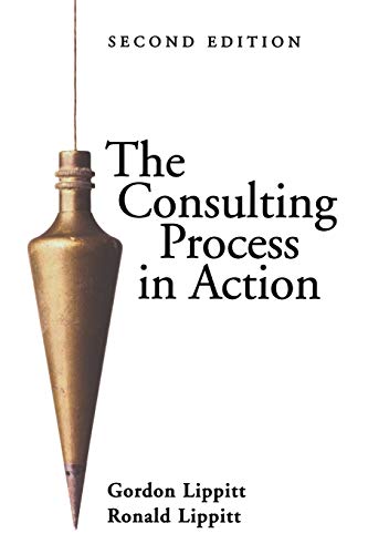 Consulting Process in Action 2e Rev von Pfeiffer
