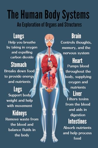 The Human Body systems: A Kids & Adults Book About Body System Regulation von Independently published