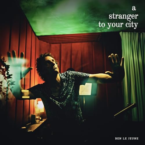 A STRANGER TO YOUR CITY von INOUIE EDITIONS