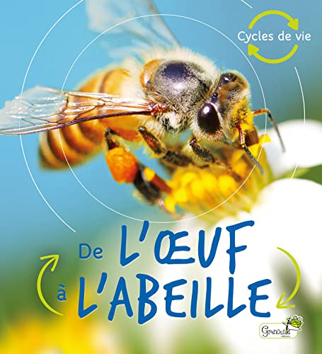 De l'oeuf à l'abeille