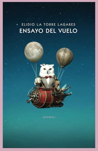 Ensayo del vuelo